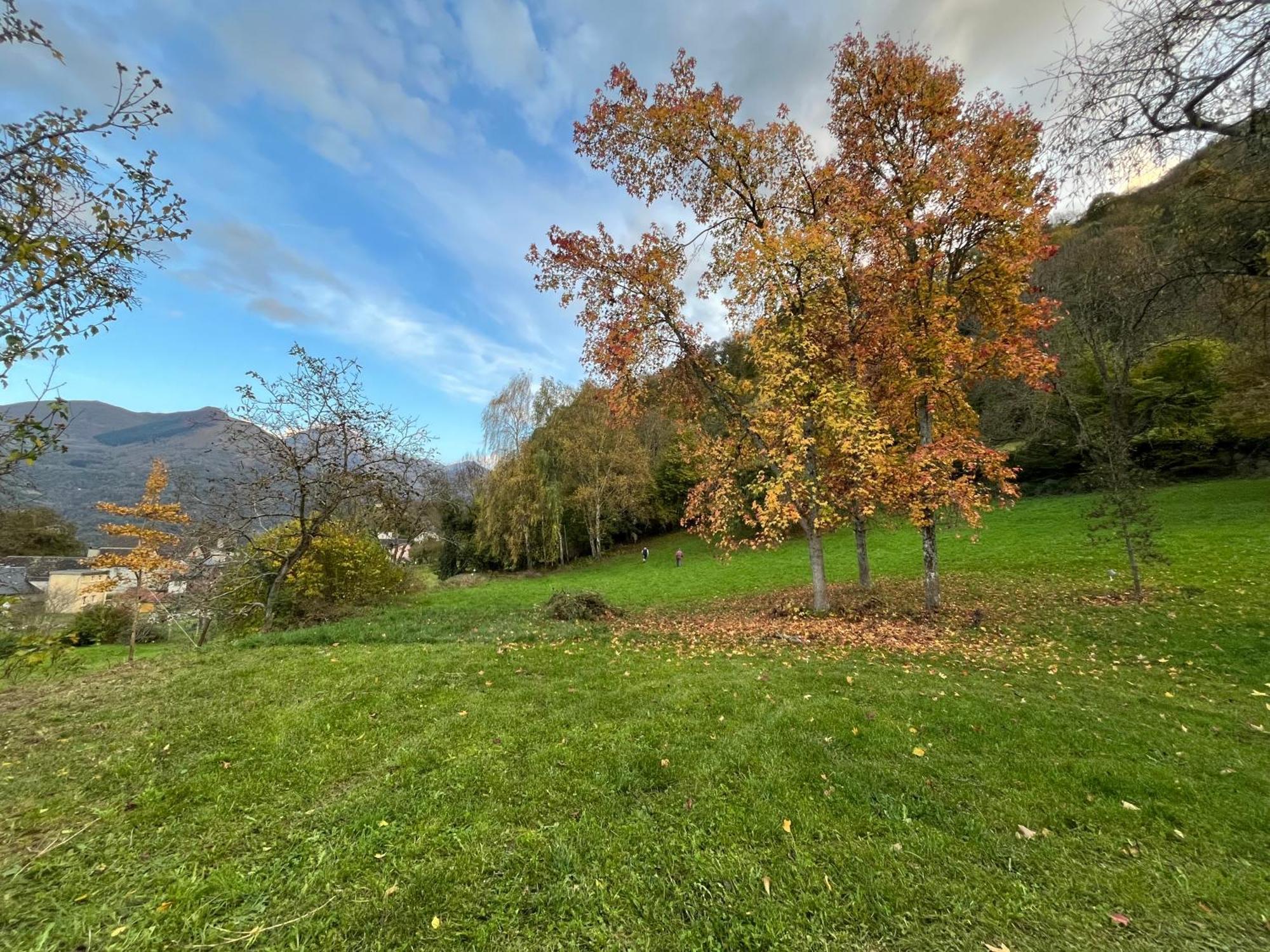 La Mayzou Del Prat Saint-Savin  Luaran gambar